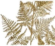 Dirbtinė šakelė ASPARAGUS, auksinės sp., 3 x 36 x 87 cm, 1 vnt