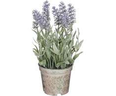 Dirbtinės levandos vazone H21.5cm violetinės