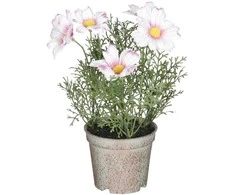 Dirbtinės ramunės vazone H21.5cm rožinės