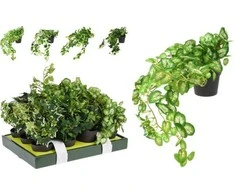 ProGarden Dirbtinis augalas BUXUS BALL, žalios sp., 18 cm