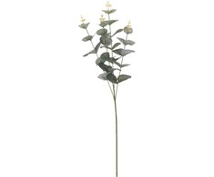 Mondex Dirbtinis augalas EUCALYPTUS, žalios sp., 65 cm
