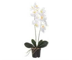 Dirbtinis augalas Orchidėja su vazonu 11x11x50 cm balta 4Living 612530