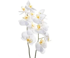 Dirbtinis augalas Orchidėja su vazonu 11x11x50 cm balta 4Living 612530