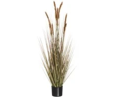 Dirbtinis augalas smilgos 30x30x122 cm 4Living 603099