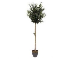 Dirbtinis augalas vazone ALYVMEDIS, 94 cm