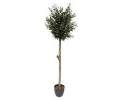 Dirbtinis augalas vazone ALYVMEDIS, 94 cm
