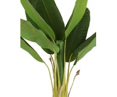 Dirbtinis augalas vazonėlyje 125cm bananmedis