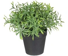 Nežinomas Dirbtinis augalas vazone, vaistažolės Splendid, 20 cm