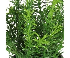 Nežinomas Dirbtinis augalas vazone, vaistažolės Splendid, 22 cm