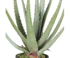 Dirbtinis augalas vazonėlyje 45cm alavijas