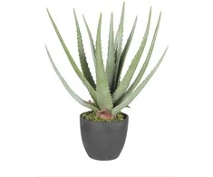 Dirbtinis augalas vazonėlyje 45cm alavijas