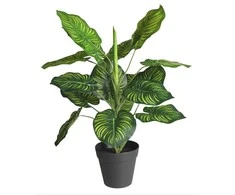 Dirbtinis augalas vazonėlyje 45cm maranta
