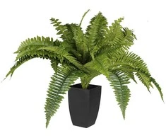 Dirbtinis augalas vazonėlyje 55cm papartis