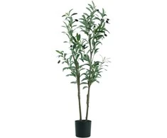 Dirbtinis augalas vazonėlyje H100cm alyvmedis