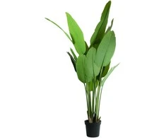 Dirbtinis augalas vazonėlyje H150cm bananmedis