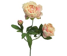 Dirbtinis gėlė Bijūnas, rausvos sp., 70 cm