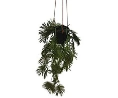Dirbtinis svyrantis augalas pakabinamame vazone 60cm žalias