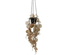 Dirbtinis svyrantis augalas vazone eukaliptas 62cm