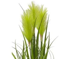 Dirbtinis žolinis augalas 54cm žolė/žalia