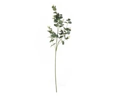 Dirtinė gėlė ILAJA EUCALYPTUS, žalsvos sp., 93 cm, 1 vnt