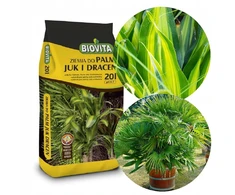 Dirvožemis palmėms „Yucky Dracen Biovita“ 20 l