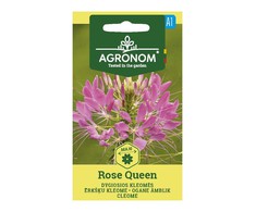 Dygiųjų kleomių ROSE QUEEN sėklos, 0,4 g