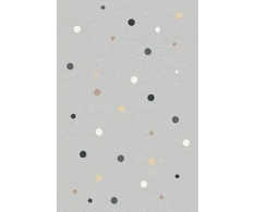 Dywanypers Dywan nowoczesny do salonu Agnella LOKAR Pilka AVANTI 160x220 cm
