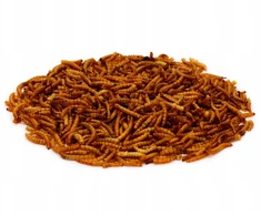 Džiovintas miltinių sliekų lesalas paukščiams, graužikams, ropliams TURDUS 125g PL916