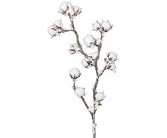 Edelman Dibtinė medvilnės šakelė L79cm