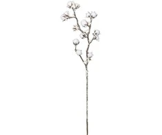 Edelman Dibtinė medvilnės šakelė L79cm