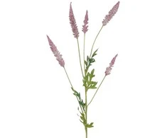 Edelman Dirbtinė astilbė L81cm rožinė