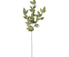 Edelman Dirbtinė gebenės šakelė L75cm žalia