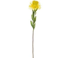 Edelman Dirbtinė gėlė L60cm protėja