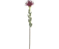 Edelman Dirbtinė gėlė L61cm protėja