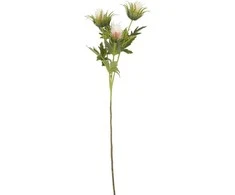 Edelman Dirbtinė gėlė L67cm varnalėša