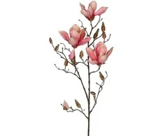 Edelman Dirbtinė gėlė L88cm magnolija/rožinė
