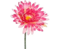 Edelman Dirbtinė gerbera L64cm rožinė