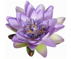 Edelman Dirbtinė lelija Ø10cm violetinė