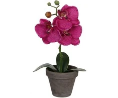Edelman Dirbtinės gėlės vazonėlyje 26cm orchidėjos/violetinės
