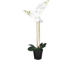 Edelman Dirbtinės gėlės vazonėlyje 70cm orchidėjos/baltos