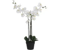 Edelman Dirbtinės gėlės vazonėlyje 79cm orchidėjos/baltos