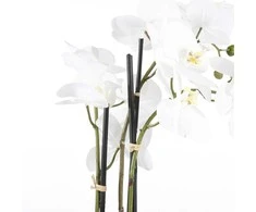 Edelman Dirbtinės gėlės vazonėlyje 79cm orchidėjos/baltos