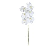 Edelman Dirbtinės gėlės vazonėlyje 82cm orchidėja/balta