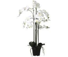 Edelman Dirbtinės gėlės vazonėlyje 97cm orchidėjos/baltos