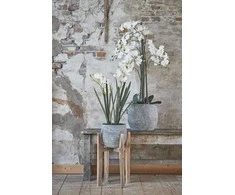 Edelman Dirbtinės gėlės vazonėlyje 97cm orchidėjos/baltos