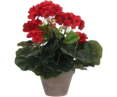 Edelman Dirbtiniai augalai vazonėlyje 34cm pelargonijos/raudon.