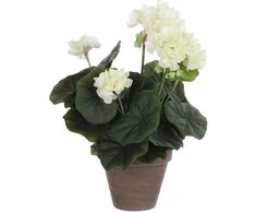 Edelman Dirbtiniai augalai vazonėlyje 34cm pelargon./krem. sp.