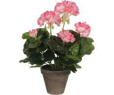 Edelman Dirbtiniai augalai vazonėlyje 34cm pelargonijos/rožinės