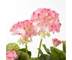 Edelman Dirbtiniai augalai vazonėlyje 34cm pelargonijos/rožinės
