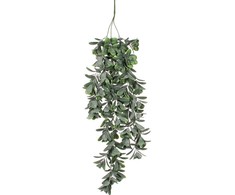 Edelman Dirbtiniai augalai vazonėlyje 79cm storlapis/žalias